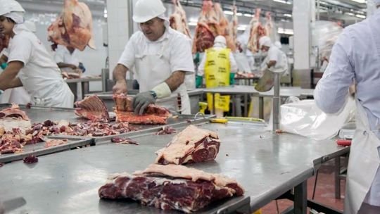 Carne vacuna argentina envasada para exportación